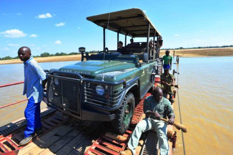 safari en Zambie dans le parc de South Luangwa