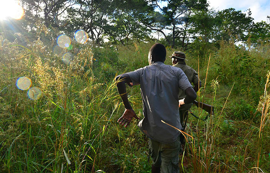 Rangers african parks