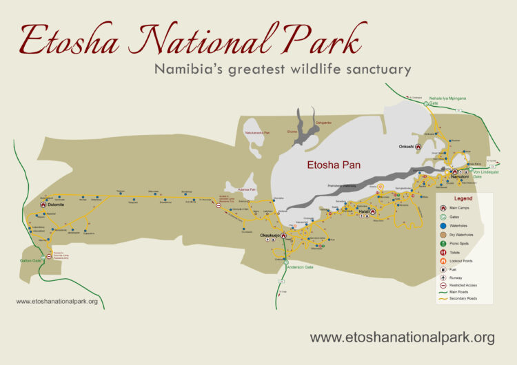 parc national d'Etosha